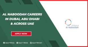 Al Naboodah Careers