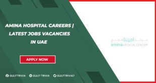 Amina Hospital Careers